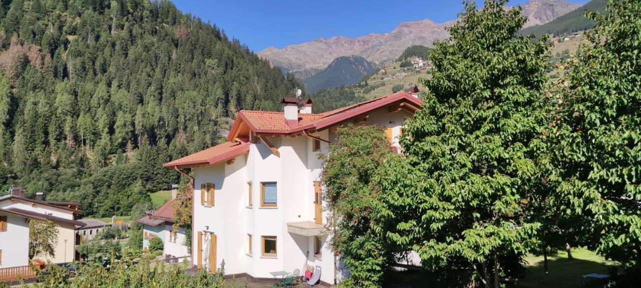 Appartamento Mary - Casa Green - Dog Friendly, Box Auto Cogolo Dış mekan fotoğraf