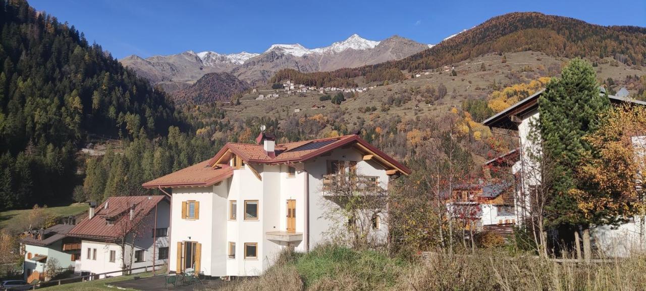 Appartamento Mary - Casa Green - Dog Friendly, Box Auto Cogolo Dış mekan fotoğraf